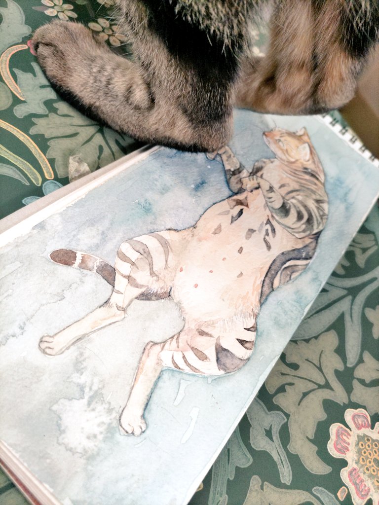 「ここのところ隙間時間に部屋の改造をしててきょうは古い絵でてきたデルモもきた 」|切畑水葉@新刊通販中のイラスト