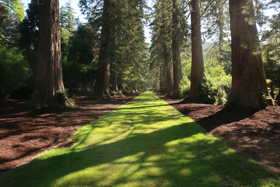 On Friday we welcome Peter Baxter who'll be talking about the development of the Chilean Rainforest at Benmore Gardens. A fab night if horticulture is your thing! Starts 7pm. Book here: ow.ly/qMpj50QYQ1s