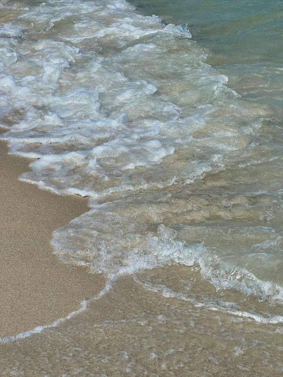 imkristellecruz's tweet photo. Good morning. Enjoy the embrace of the sea and the softness of the beach. Whether you're bathing in the warm sunshine or immersed in the crystal clear waters, you can feel the unique charm of Miami's seaside https://t.co/b12V4hyEz9