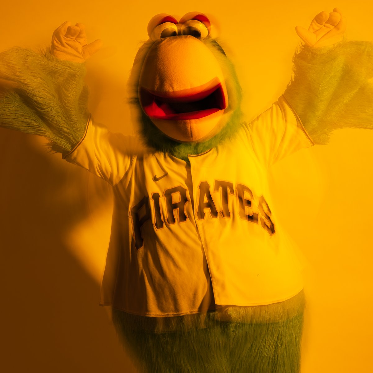 Pirate_Parrot tweet picture
