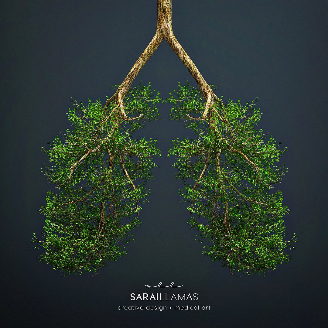 #InternationalDayOfForests

TREES = OXYGEN.
IF WE DESTROY THEM, WE DESTROY OURSELVES

«Imagine if trees gave off Wi-Fi signals: we would be planting so many trees and we'd probably save the planet too... Too bad they only produce the oxygen we breathe».

#MedicalArt