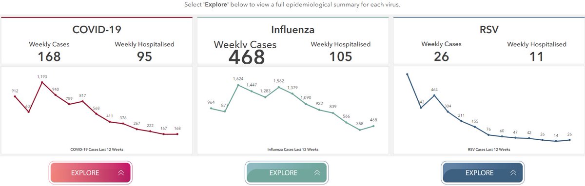 Explore the latest COVID-19, influenza and RSV data in the Respiratory Virus Notification Data Hub. Most indicators of influenza activity remained at low to moderate levels. Low numbers of sporadic RSV cases continue to be notified each week. …orydisease-hpscireland.hub.arcgis.com