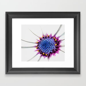 TaicheTees's tweet photo. Beautiful White African Daisy Close-Up Macro #Canvas #Print #taiche #Society6 #floralabstract #floralart #abstractart #abstract #abstractfloral #abstractflowers #art #floralpainting #floral #acrylicpainting #abstractflorals #contemporaryart https://t.co/PQLMAinQXk https://t.co/1BLcHRoiB7