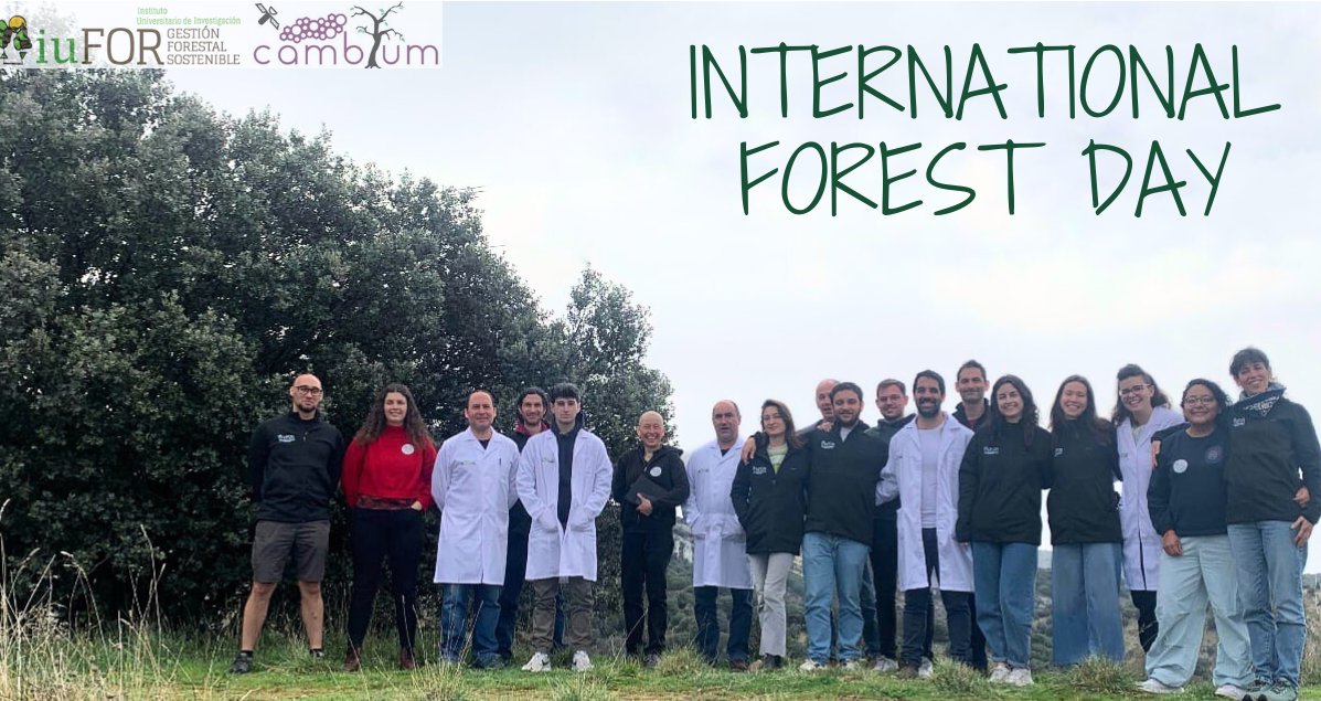From Cambium Research Group we wish you a Happy Forest Day. #somosiuFOR #RIS3 #CienciaForestal #Soyforestal #EscaleraExcelencia @universidaddeva , @CampusdeSoria @YoungForesters