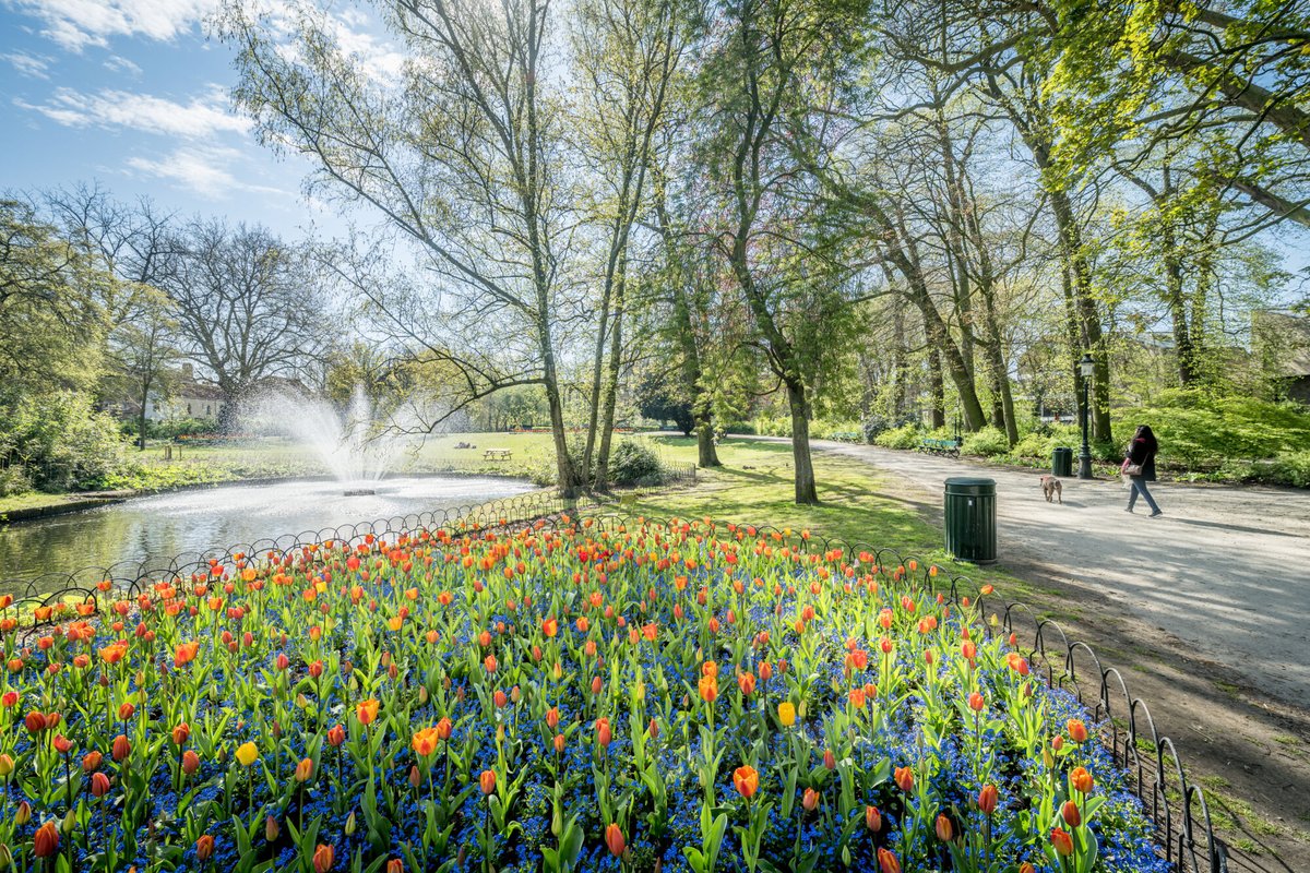 Spring has sprung in Bruges! 🌸🌺🌼🌹 Are you visiting Bruges this season? 😃 Here are 8 tips to make the most of your spring getaway in Bruges: visitbruges.be/en/things-to-d… 📸: ©️ Jan Darthet Fotografie