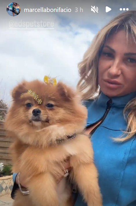 rbuffagni's tweet photo. Greta tranquilla la mamma ti ha portato Sofy a lavarsi e a farsi bella per il tuo rientro a casa😉🥰
#luzzers #luzzini #beabaldi #beaux #beass #Honey #detodo #sd8 #serginers #mieluzzi #rosycin #maxers https://t.co/v0pGj9lX0k