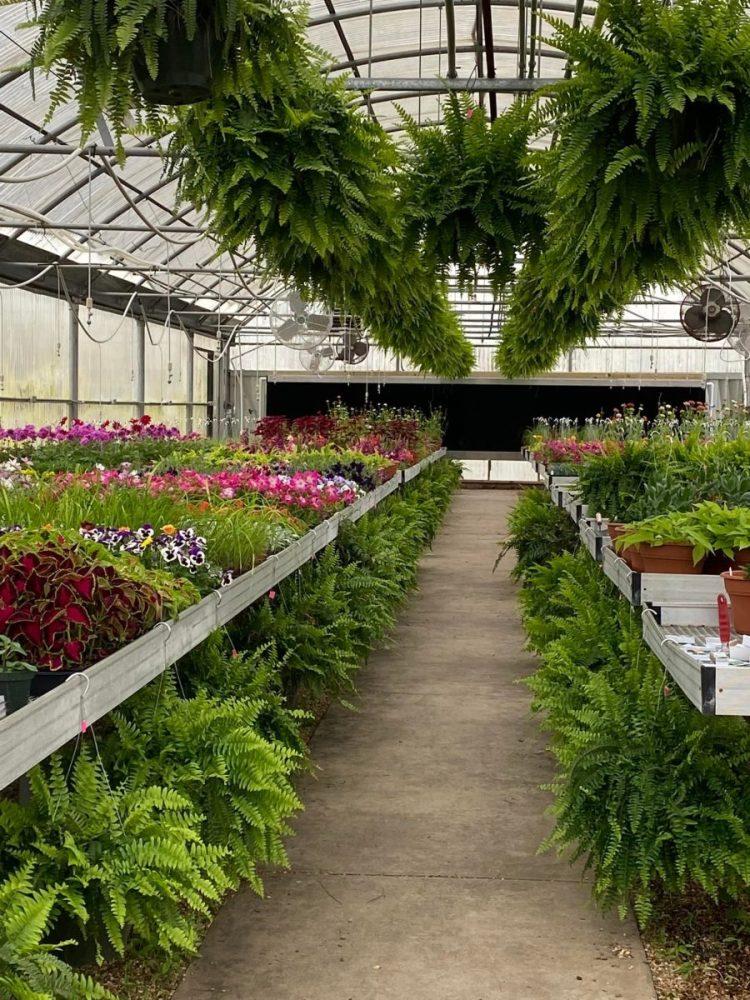 Burke County HS tweet media