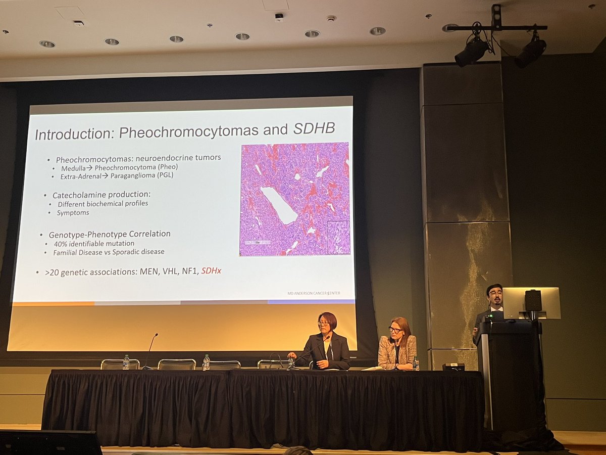 Lauren Norell Krumeich MD MS (@laurennorell) on Twitter photo Endo surg continuing its strong presence at SSO: <a href="/tszaboyamashita/">Thomas Szabo Yamashita</a> and colleagues further define the genotype-phenotype correlation by showing the aggressive nature of SDHB-associated pheos
#endotwitter #SDHx #pheo Endo surg continuing its strong presence at SSO: <a href="/tszaboyamashita/">Thomas Szabo Yamashita</a> and colleagues further define the genotype-phenotype correlation by showing the aggressive nature of SDHB-associated pheos
#endotwitter #SDHx #pheo