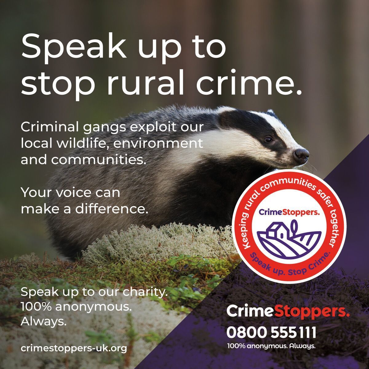 Today marks the International Day of Forests! Did you know that reporting wildlife crimes can protect our precious forests? Be a guardian of nature, report any suspicious activities anonymously to @CrimestoppersUK in Surrey & Sussex. 🌲🔍