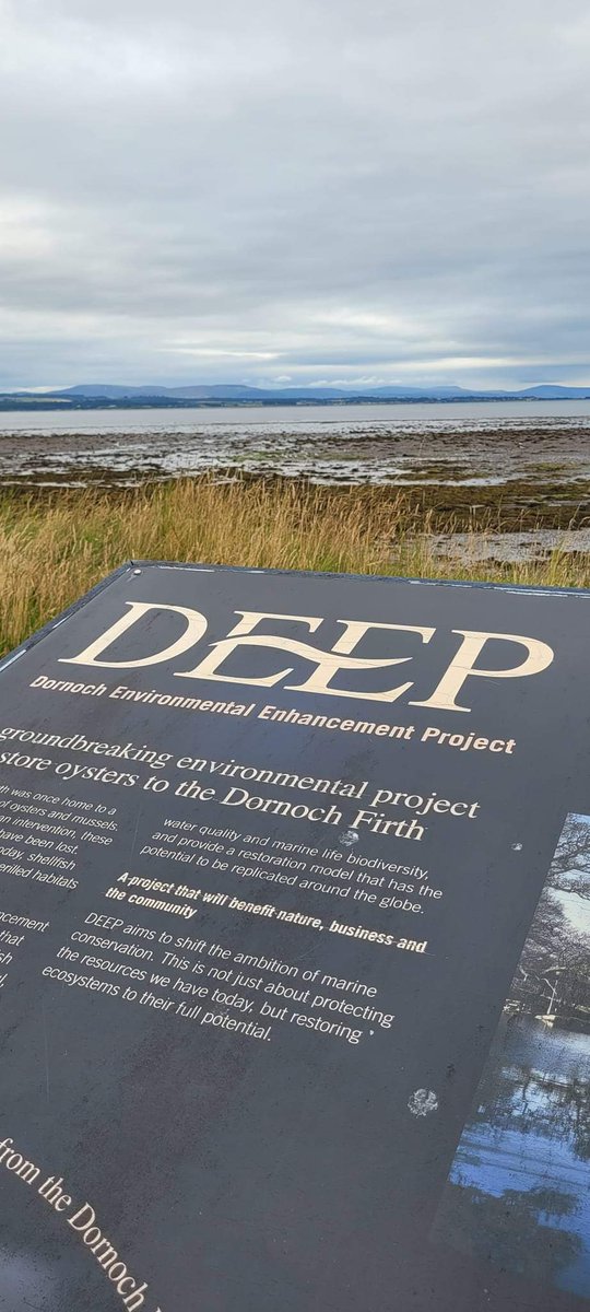 🐟❗️Job vacancy - Engagement Officer (Dornoch Firth Restoration)❗️🐟 Please share 🌊🦪🏴󠁧󠁢󠁳󠁣󠁴󠁿 I've been lucky enough to visit @TheGlenmorangie & #TheDeepProject. Not only a beautiful location but a great role! Based in Tain 🏴󠁧󠁢󠁳󠁣󠁴󠁿 Closing date 24 Mar. Apply now 👇 mcsuk.org/work-for-us/cu…
