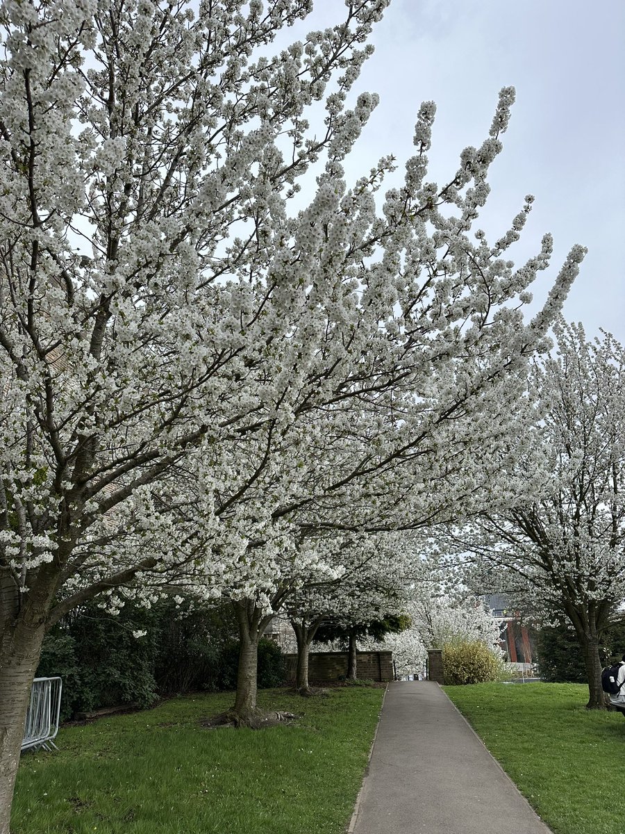 Mamas A. Mamas tweet media