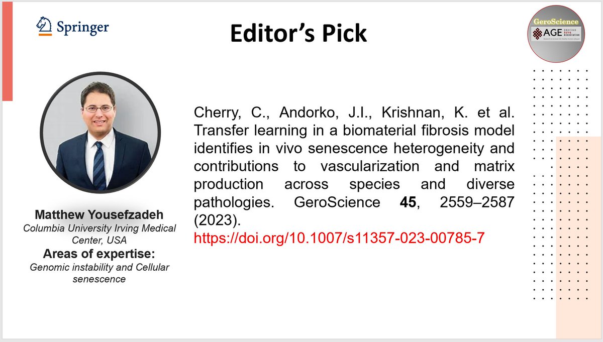 🆕in GeroScience #EditorsPick series
Dr. Matt Yousefzadeh (@MattYousefzadeh) is a faculty member in the Columbia Center for Health Longevity and the Columbia Center for Translational Immunology @Columbia where his lab focuses on exploring the role of #senescentcells in #aging and