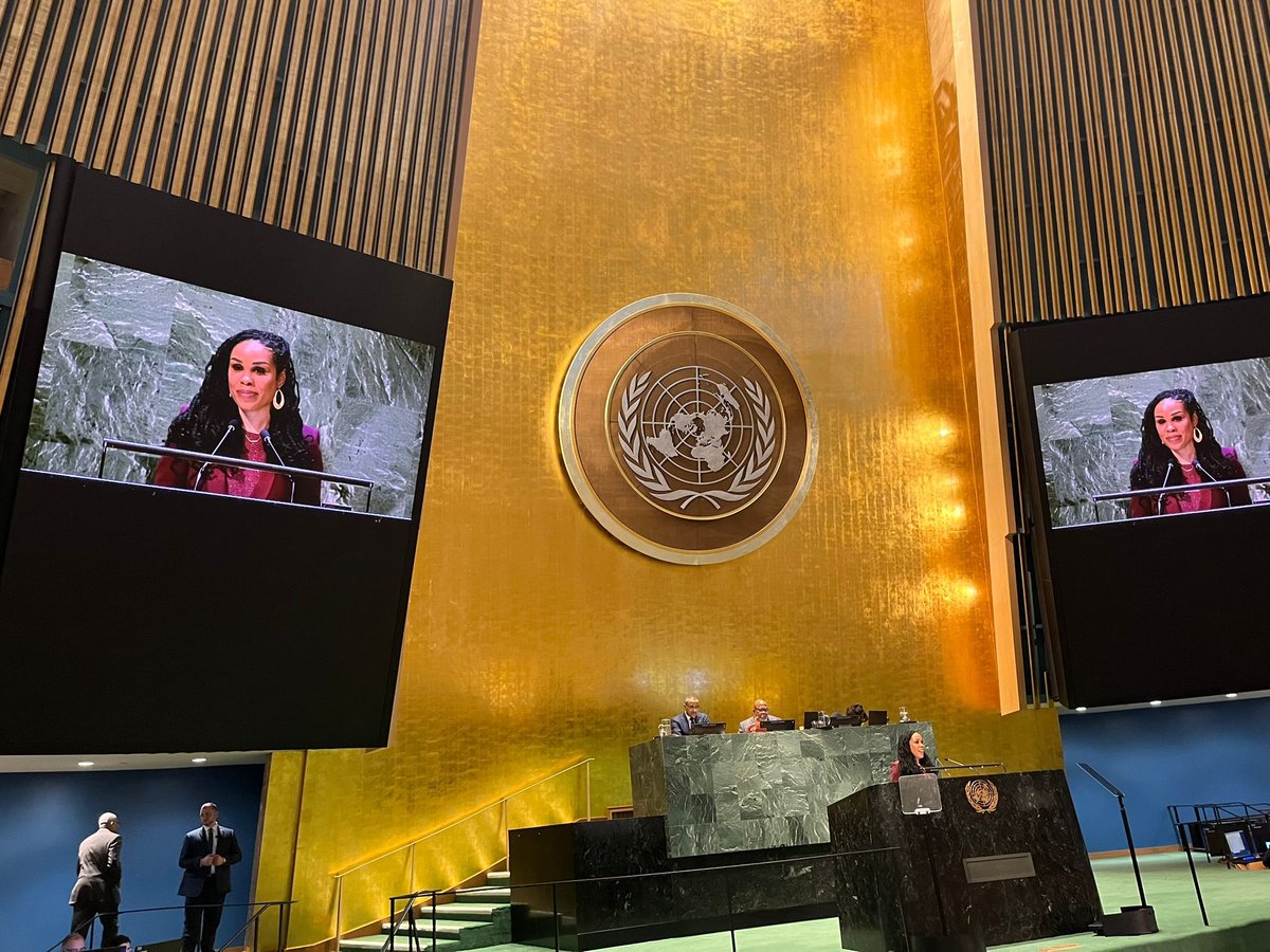 Honored to speak this morning in front of the @UN’s General Assembly in commemoration of The International Day for the Elimination of Racial Discrimination! The United Nations was on my vision board for my book LEGACY: A Black Physician Reckons with Racism in Medicine!👩🏾‍⚕️🩺