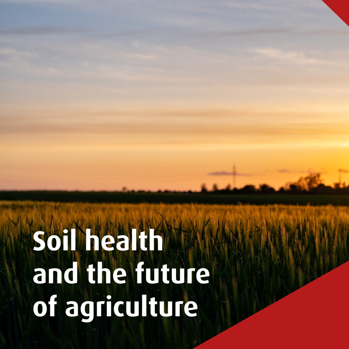 We're launching a blog on our website today! Here we will regularly share scientific articles, interviews and other exciting topics that can be covered in much more depth. Have a look: nexat.de/en/soil-health…
