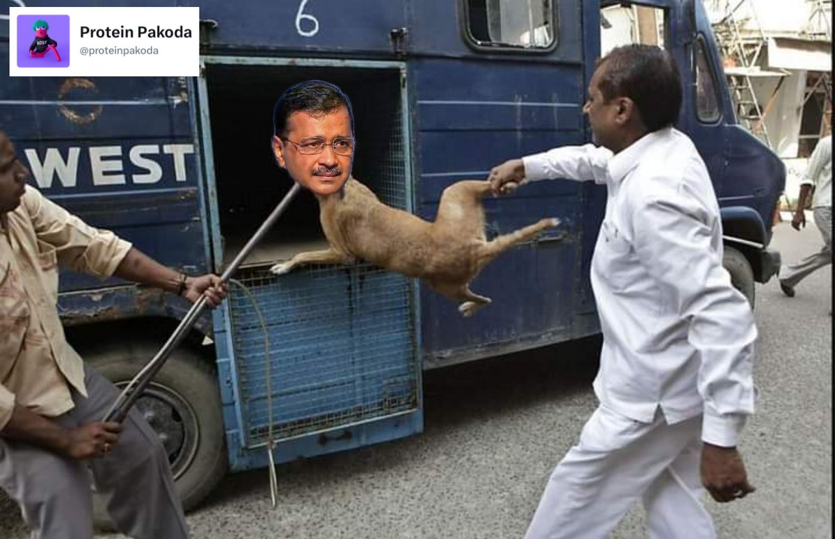 ED has arrested ghungroo seth 😂😂
#arvindkejriwal
#EDRaid