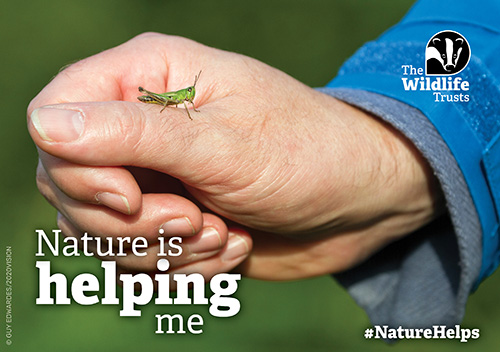 Join us in raising awareness about the incredible impact that green prescribing #WildHealthProject has on wellbeing by telling your GP about it! Click below to spread the positive message and send a free postcard to your doctor! wildlifetrusts.postbug.app