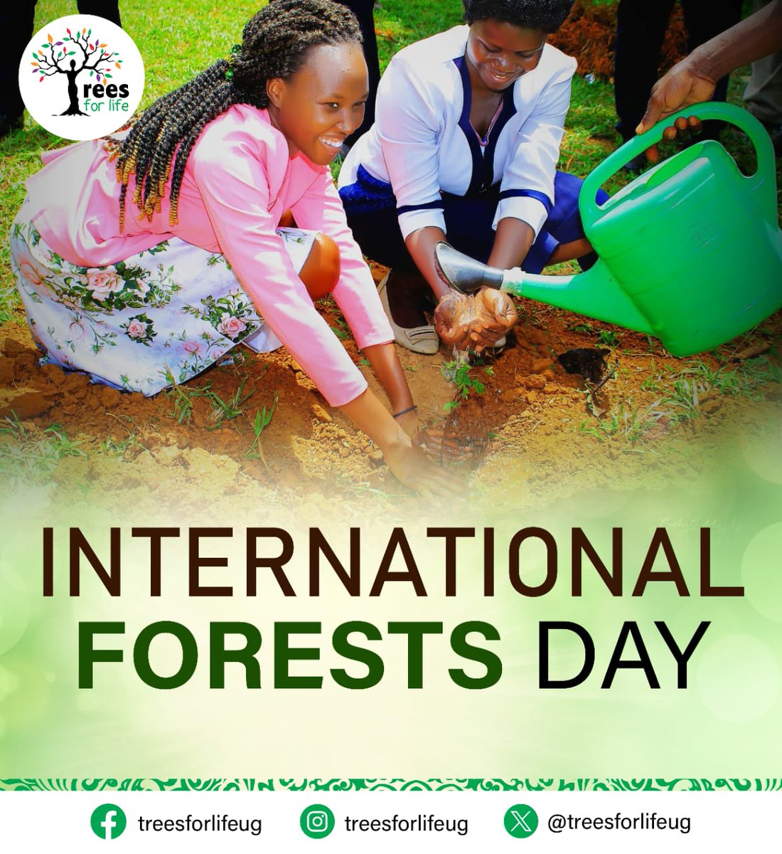 Plant a tree today. The earth will appreciate your effort in making it a better place.

@treesforlifeug  @treemissions @TreescapeOrg 

#InternationalDayOfForests