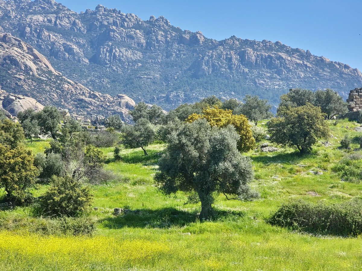 İlkbahar; Arttırılmamış gerçeklik. 
#latmos #bafa