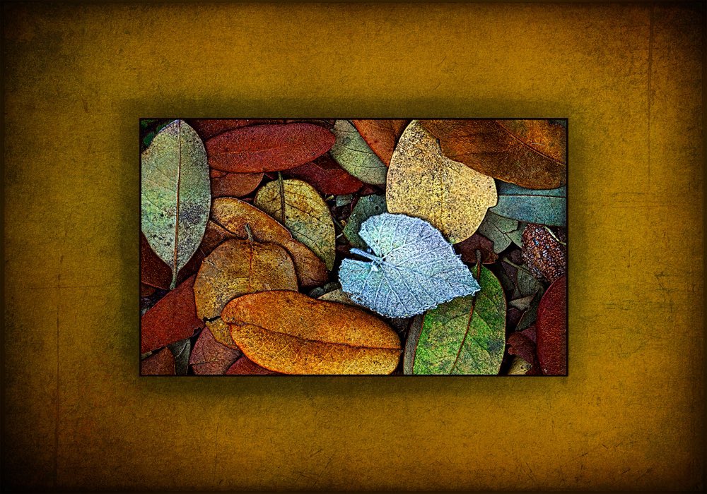 RickCotter3's tweet image. Sharing an image that effected my #PhotoLife .. 

“Icy Heart of Autumn” was my first awarded image selected for print in tabletop book Fromm PPA called the Loan Collection.  Cerca 2014 ❤️