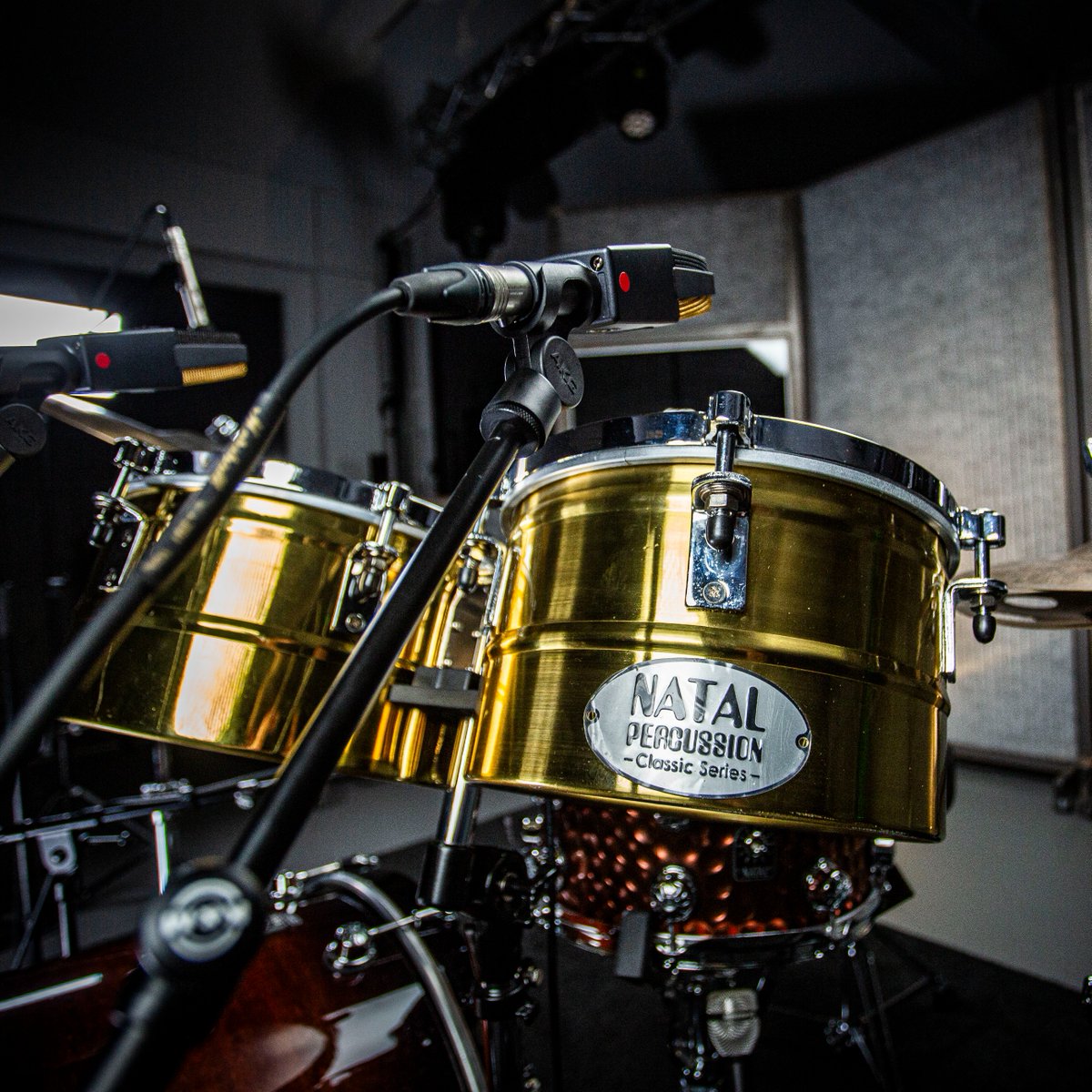 From studio sessions to live performances, our Timbales are the ultimate companion for every beat. 💫🥁