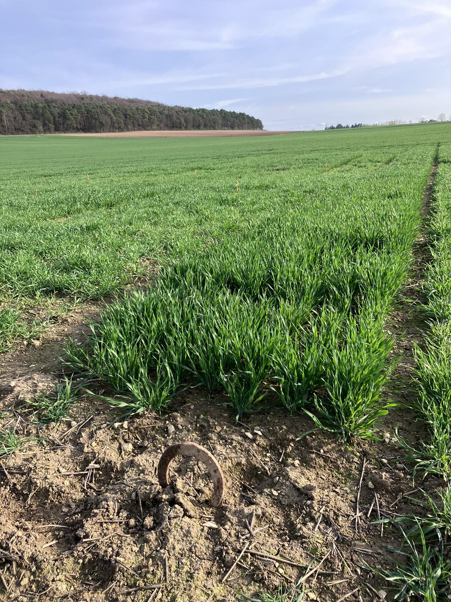 Jonathan Thévenet tweet media