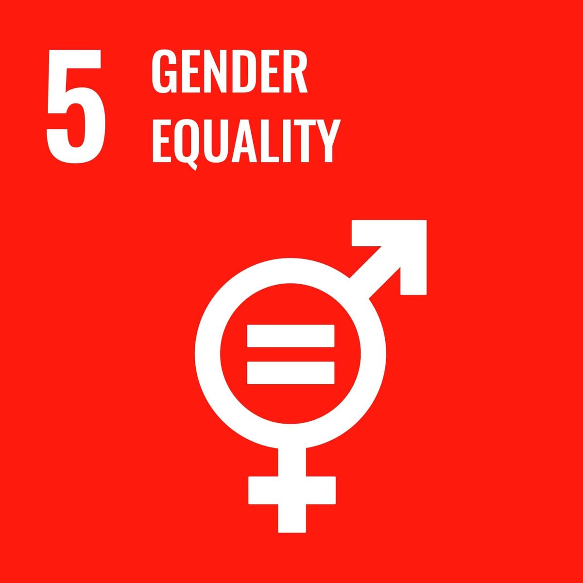 "Addressing the data gaps that obscure our understanding of gender disparities is one important piece of the puzzle."

Read the latest <a href="/RevDem2020/">Review of Democracy</a> op-ed on for #SDG5 penned by <a href="/laurarahm01/">Laura Rahm</a>, <a href="/AntraBhatt/">Antra Bhatt</a>, <a href="/AzconaGinette/">ginette azcona</a> and <a href="/tpcookson/">Tara Patricia Cookson</a>: buff.ly/4c6l55a