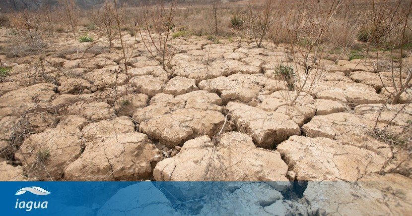 El MAPA destina 252 M€ a ayudas contra la sequía que beneficiarán a cerca de 131.500 agricultores dlvr.it/T4PxpG