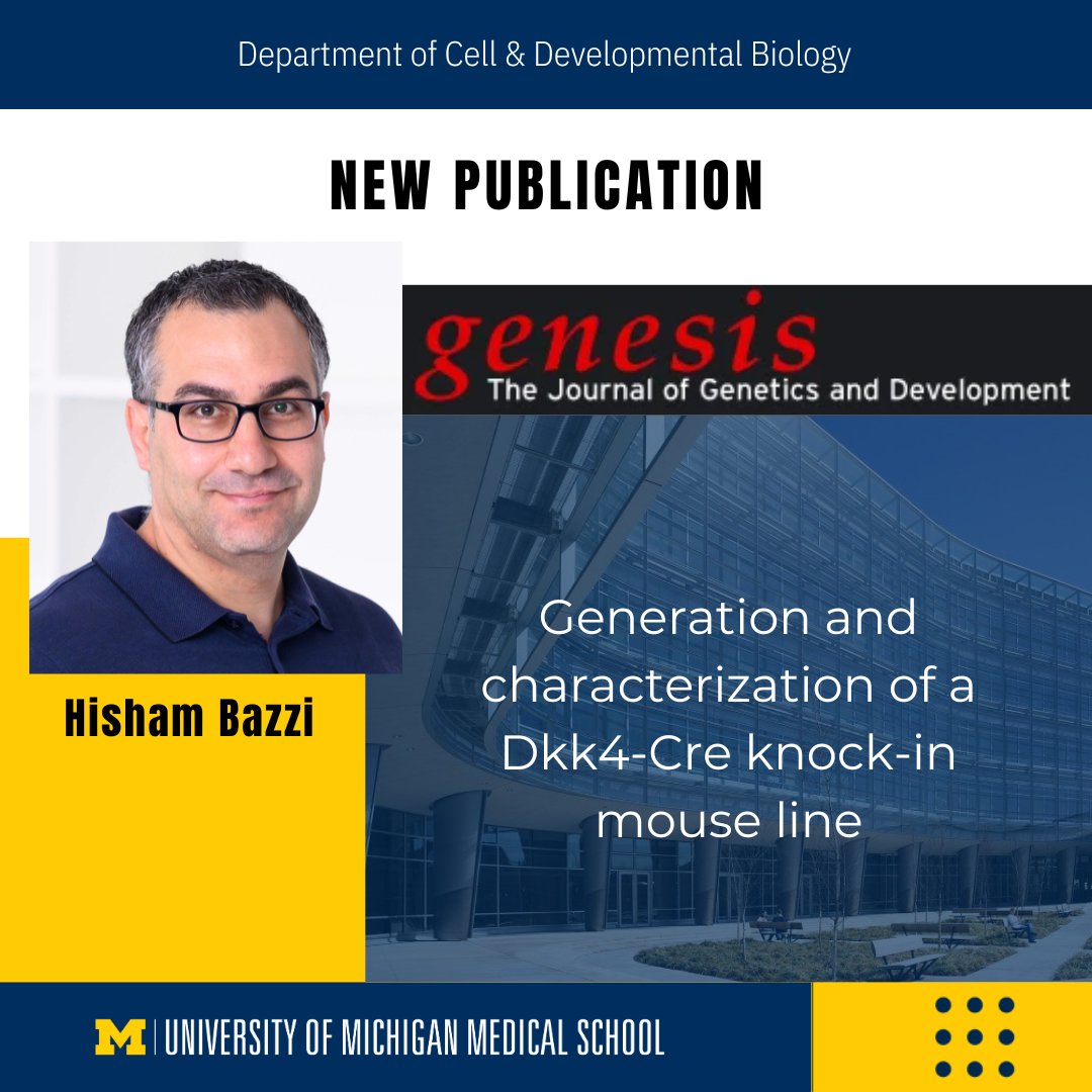 New Publication from the Bazzi Lab! 'Generation and characterization of a Dkk4-Cre knock-in mouse line,' has been published in Genesis: The Journal of Genetics and Development. Read more: onlinelibrary.wiley.com/doi/10.1002/dv… #Research #DevelopmentalBiology #BoldScience