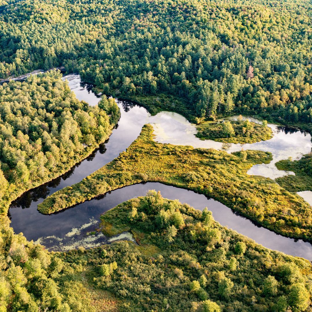 4wildplaces's tweet photo. Happy International Day of Forests from some of NEWT's forever wild protected lands.

#landprotection https://t.co/AWRWADzBkZ