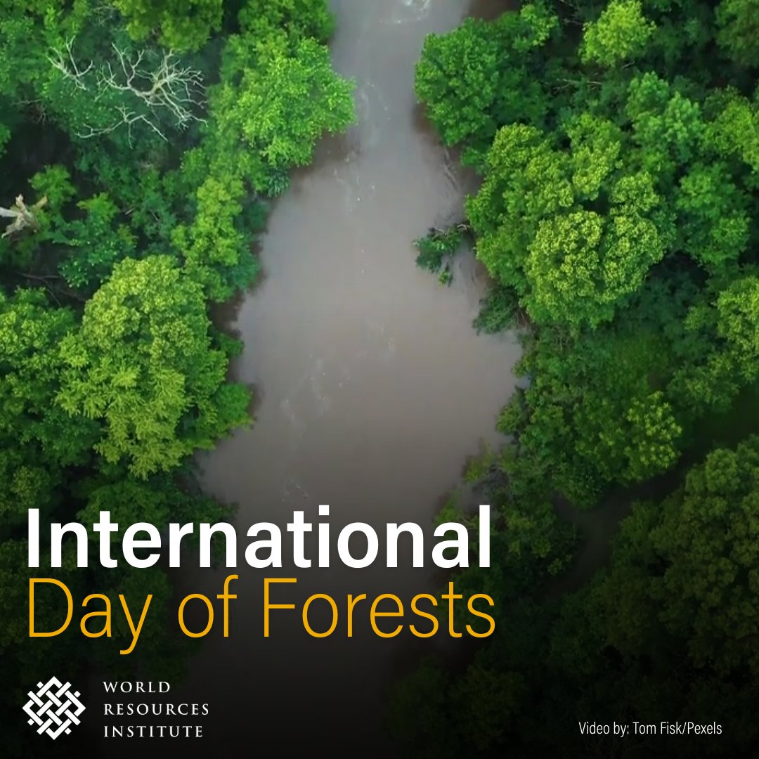 Forests are vital for life on Earth. They provide home to 70 million Indigenous People and harbor the most biodiversity on the planet. But they are under threat. This #IntlForestDay, see how communities are using satellite data to fight deforestation: bit.ly/40RbZnz