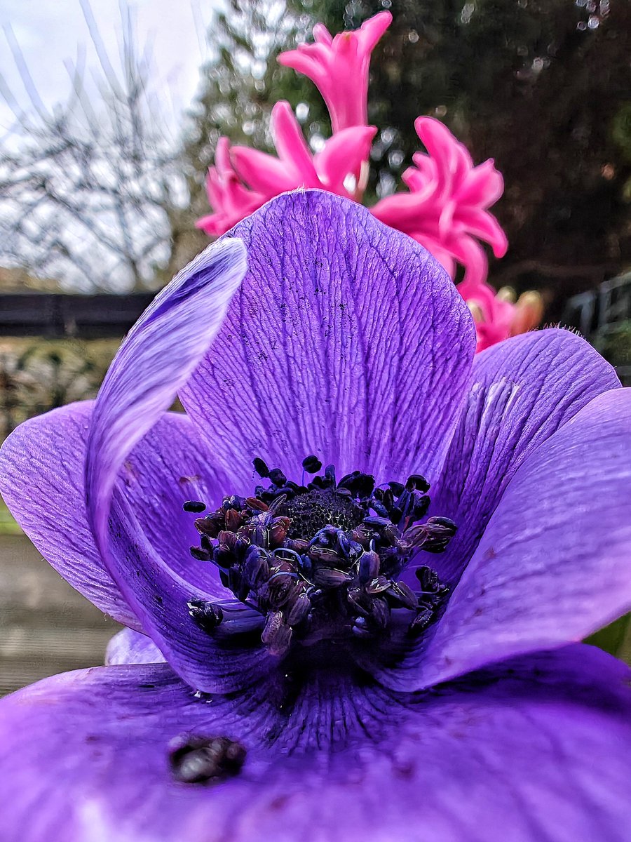 _Julie_J's tweet photo. Hello spring https://t.co/TiGeGNEG1h