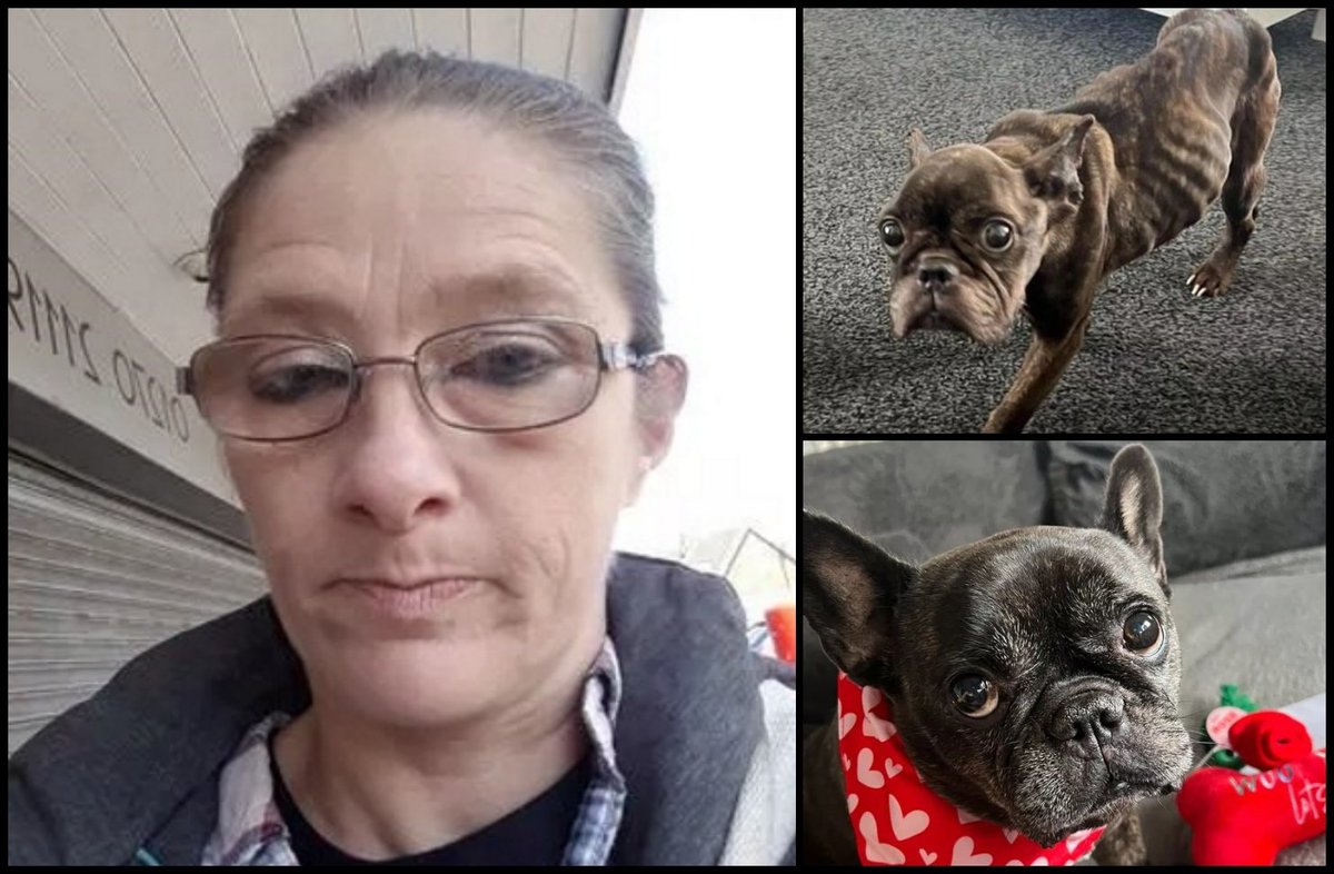 Please retweet, CONVICTED | Claire Kirton, 46, from #Crewe, #Cheshire #UK – starved a French bulldog to skin and bone. Kirton had agreed to take the female dog called Peanut from her as yet unnamed daughter after she moved in with her partner’s family. Five weeks later the dog…