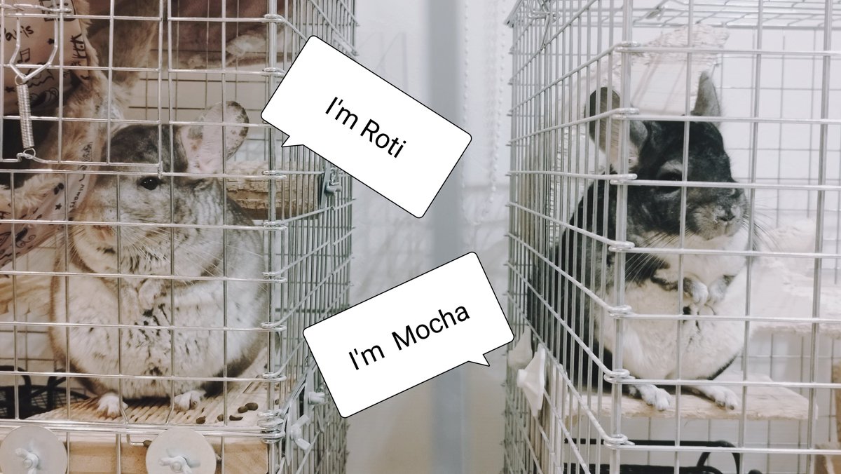 𝓜𝒶𝓀𝒾𝓉𝓉𝓎 ꗯ 個人経営者🥰 tweet media