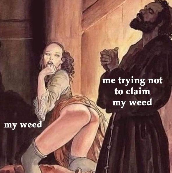 CannaBase Garden tweet media