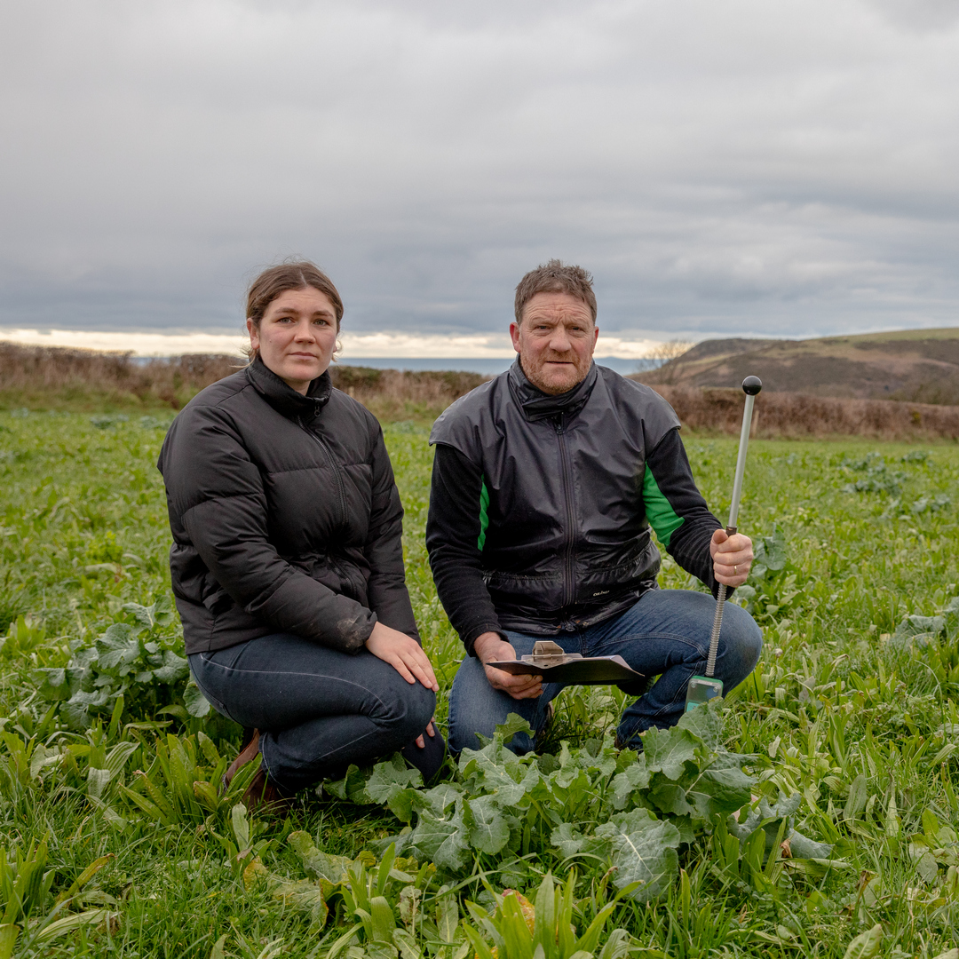 Since establishing multi-species, Welsh #dairy farmers & British Farming Award-winners Chris and Bella Mossman have noted improved herd health, soil health, and milk production while cutting artificial nitrogen use. Read their climate smart success story: germinal.com/multi-species-…
