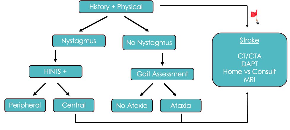 For your moderate pretest probability posterior circulation strokes, or patients with vertigo in whom you have uncertainty.. what should the standard approach be? The answer is nuanced, so Dr. @kateoc93 has done the deep dive for us: emottawablog.com/2024/03/poster…