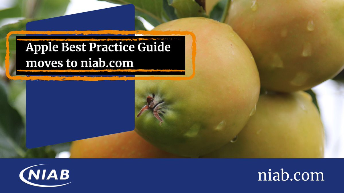 🚨NEWS: 'Apple Best Practice Guide' moves to NIAB. Free for all, the Guide contains a vast volume of best practice information on commercial apple production. Topics covered include agronomy, pests and diseases and post-harvest information. Full story ➡️ ow.ly/uSno50QYT2X