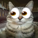 Walista_'s tweet photo. el mod de peppina ramen la neta es un mal mod muy sobrevalorado neta https://t.co/DeFKuwxy2A