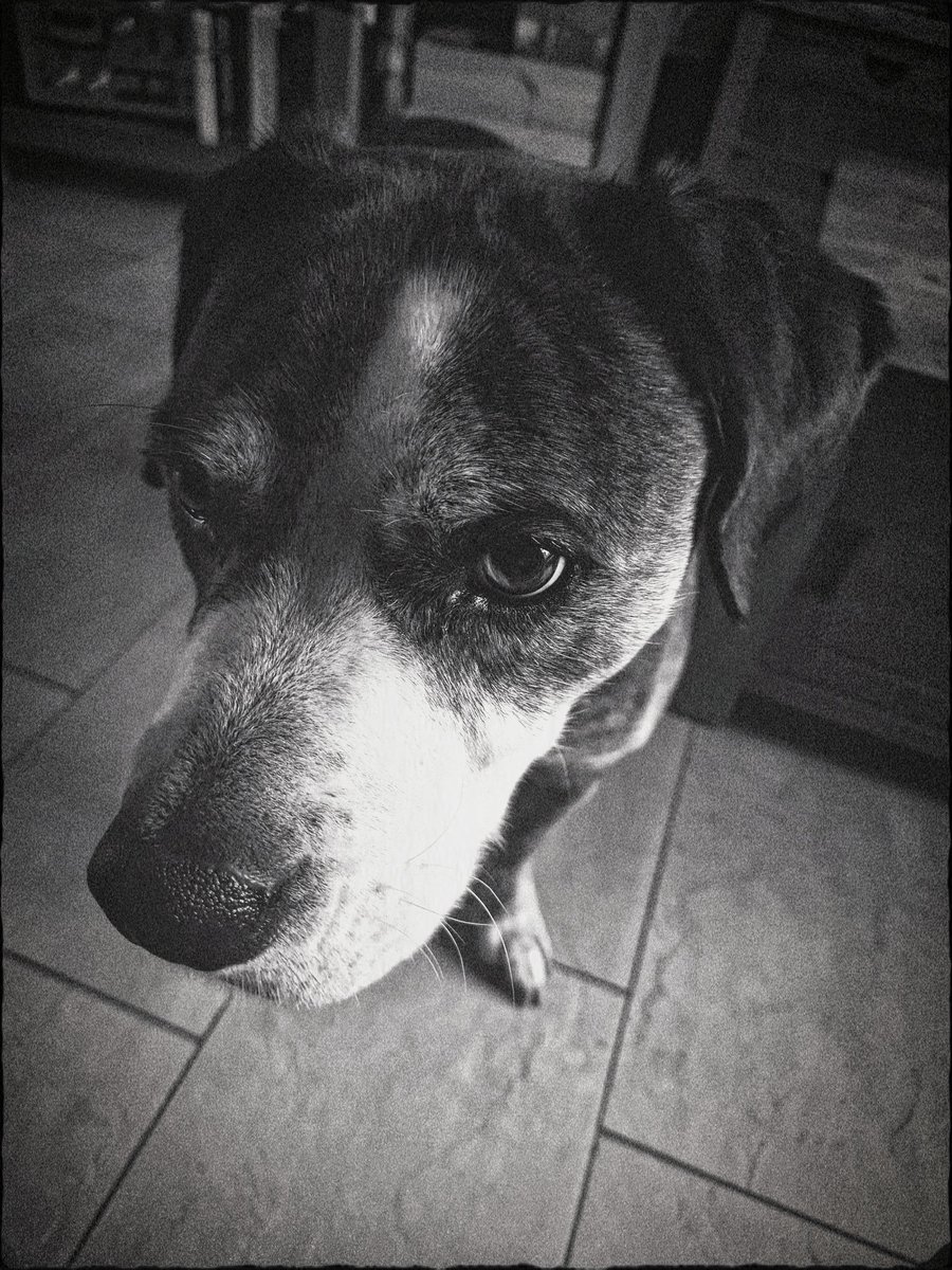 Alexepex's tweet image. #lucky