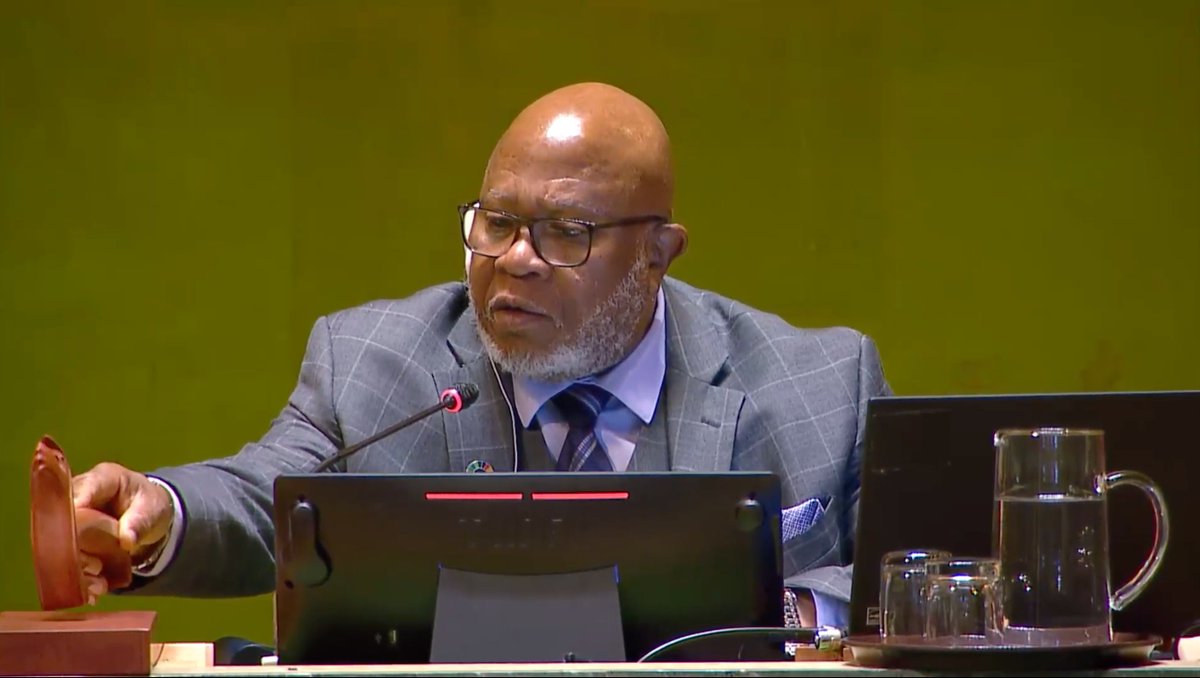 #BREAKING UN General Assembly ADOPTS resolution to promote safe, secure and trustworthy artificial intelligence systems for sustainable development 📸: @UN_PGA announcing the adoption of the resolution