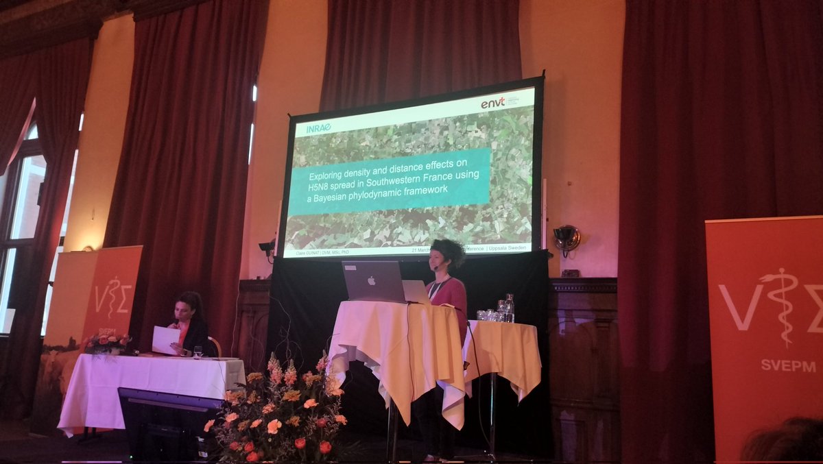 @ClaireGuinat demonstrating the use of #phylodynamic approches to highlight the positive association between highly pathogenic avian influenza #HPAI transmission rates and poultry farm density in France.
At #svepm2024, in Uppsala 🇸🇪
🧬🤓
