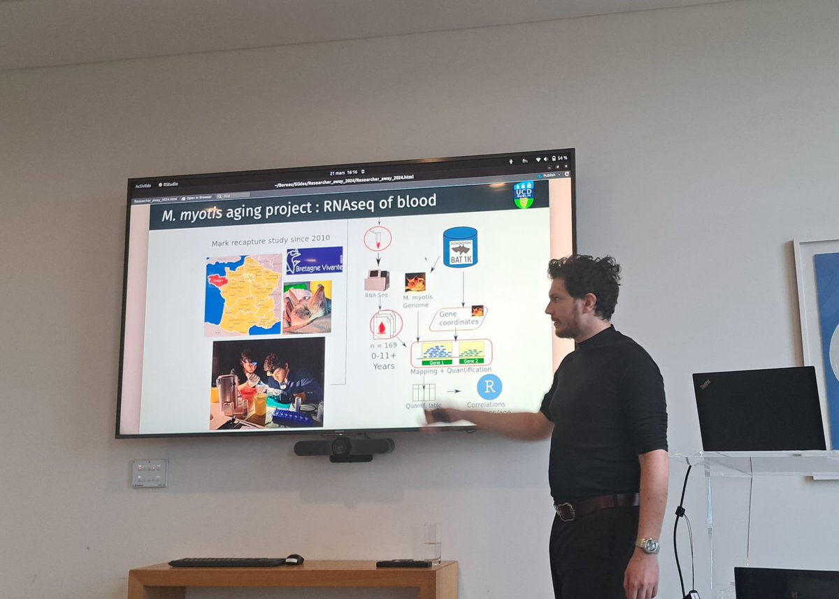 @BatLabUCD’s own Seb giving a talk on unlocking the secrets of #bat longevity at @UCDSBES researchers away day #ageing