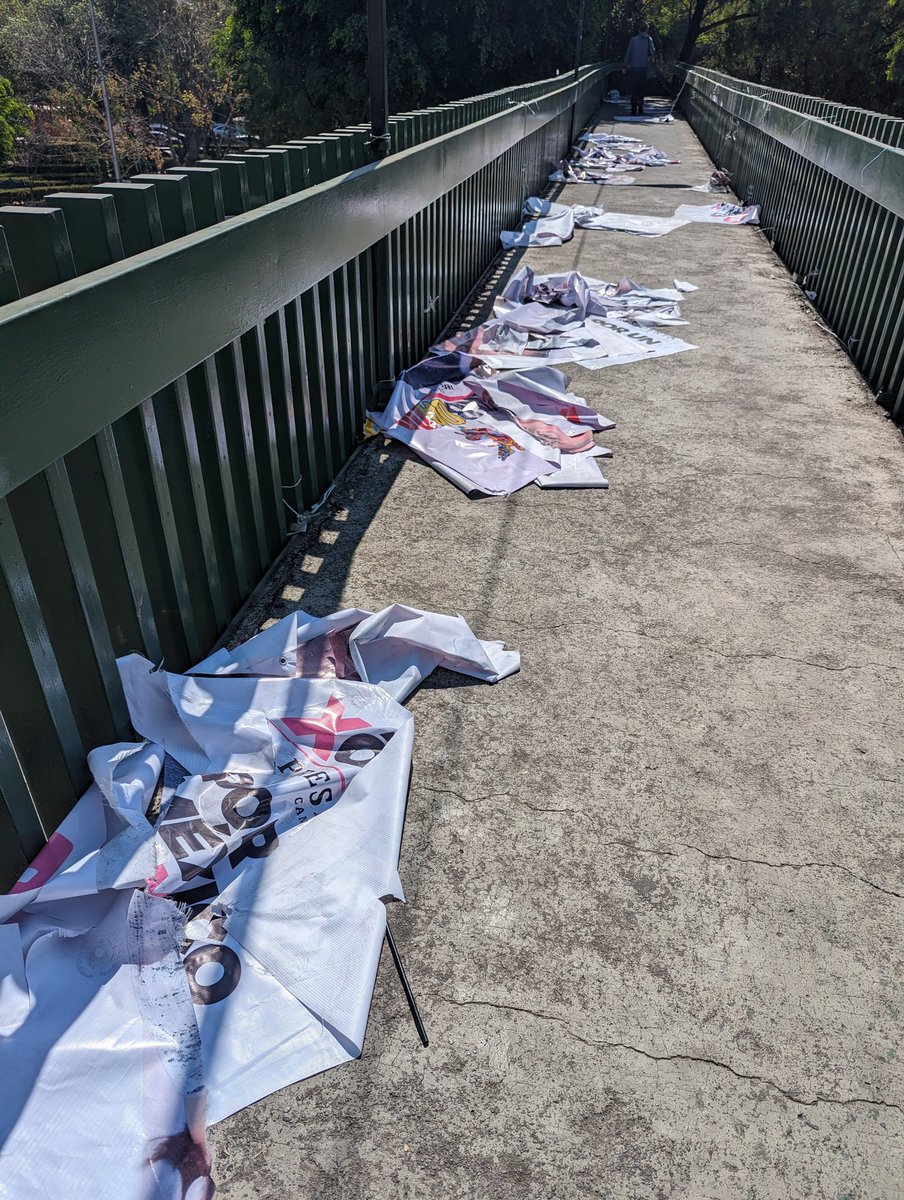 elmalalio's tweet photo. Toda esta basura y apenas "comenzaron" las campañas https://t.co/gx6FDB0s2q