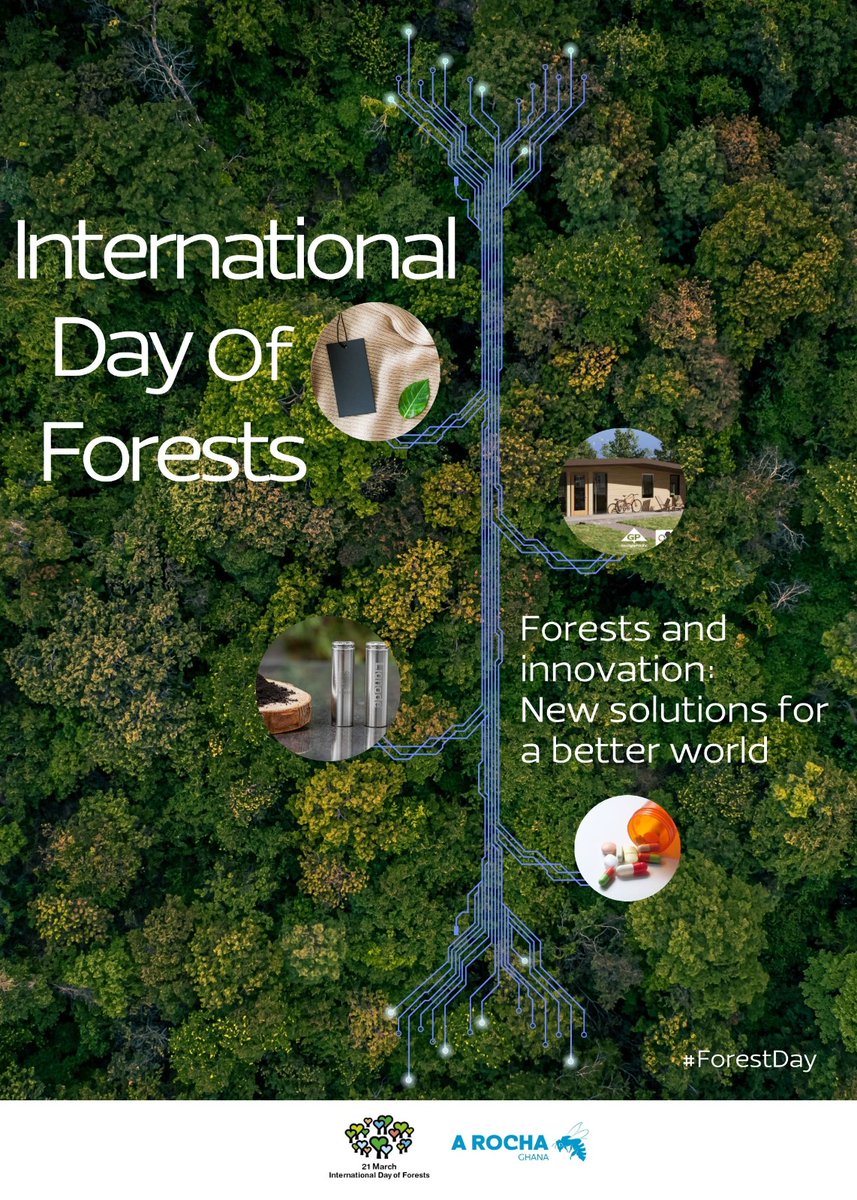 From construction to medicine, innovations in forest products can help create alternatives for unsustainable materials such as concrete, steel, plastics and synthetic fibres. By finding new solutions, we can protect and restore our forests for a better world. #IDF2024
