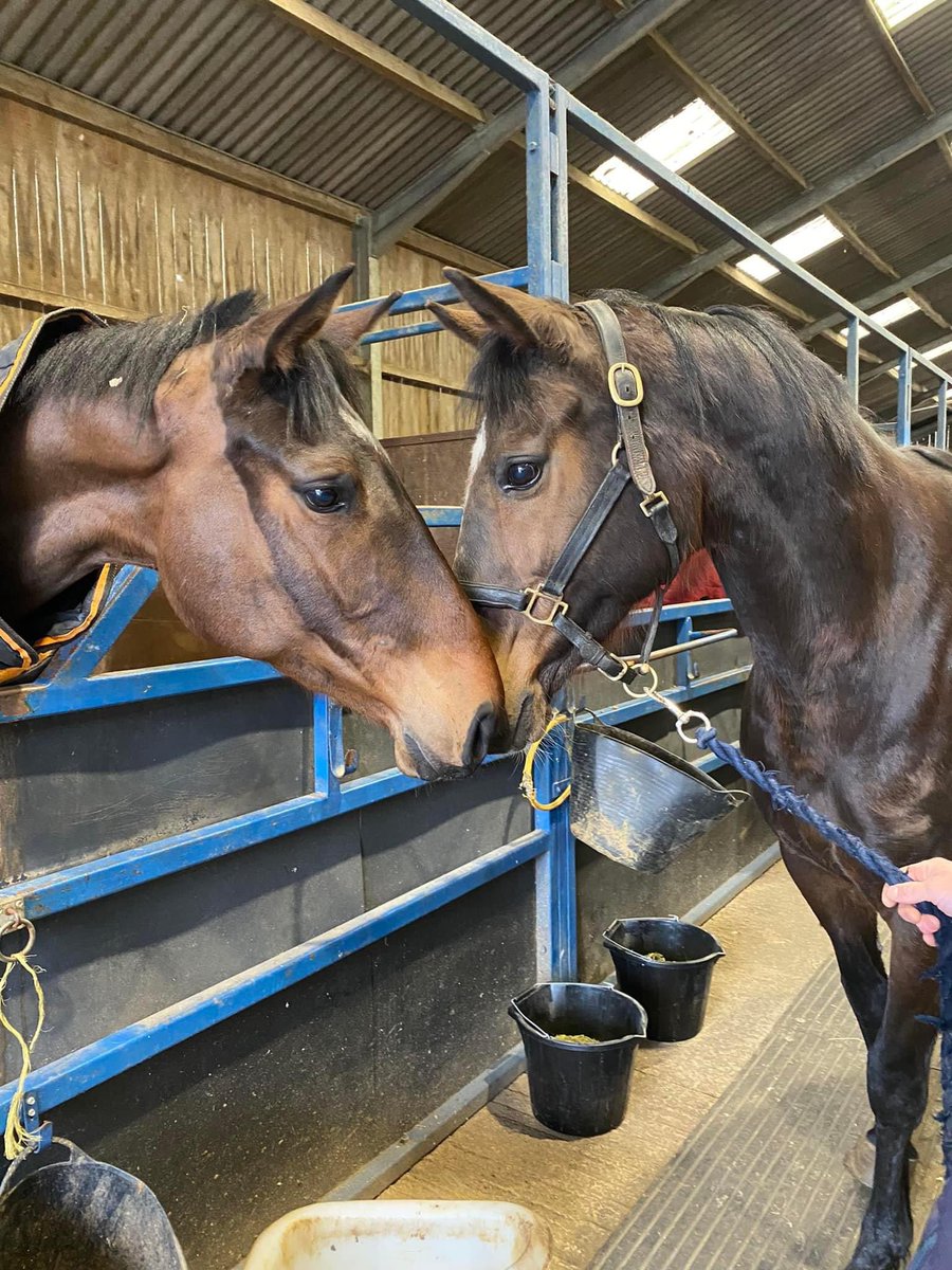 My how you’ve grown!…Rosemary Russet says hi to her son Ronnie #applefamily