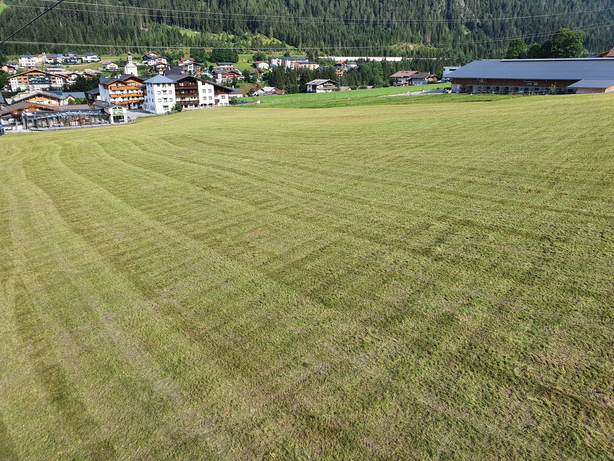 Typical grassland management in Austria.
A #NatureRestoration law would not take farmers' jobs away, but could rather ensure that basic standards are implemented, so that habitats that could host a plethora of species, and could be a joy to the eye, don't look like this.