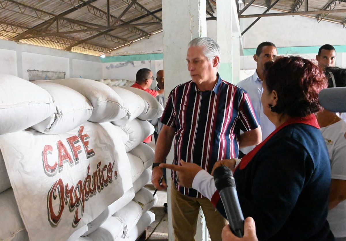 Las montañas del municipio El Salvador albergan importantes plantaciones de café. Con trabajadores de la Empresa Agroforestal reflexionamos sobre lo vital de la fuerza de trabajo y la ciencia para incrementar las producciones del preciado grano.

#GenteQueSuma