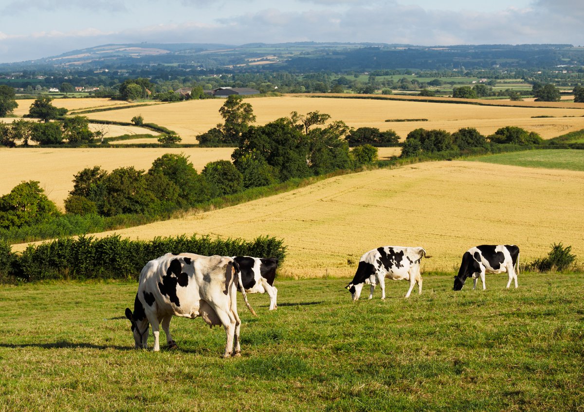 📢Applications now open for this year’s funding! We’re awarding a total of £600k to projects that address agri-food’s transition to net zero. £50k per project. Deadline: 5pm, 30 June Find out more ➡️bit.ly/AFNfunding