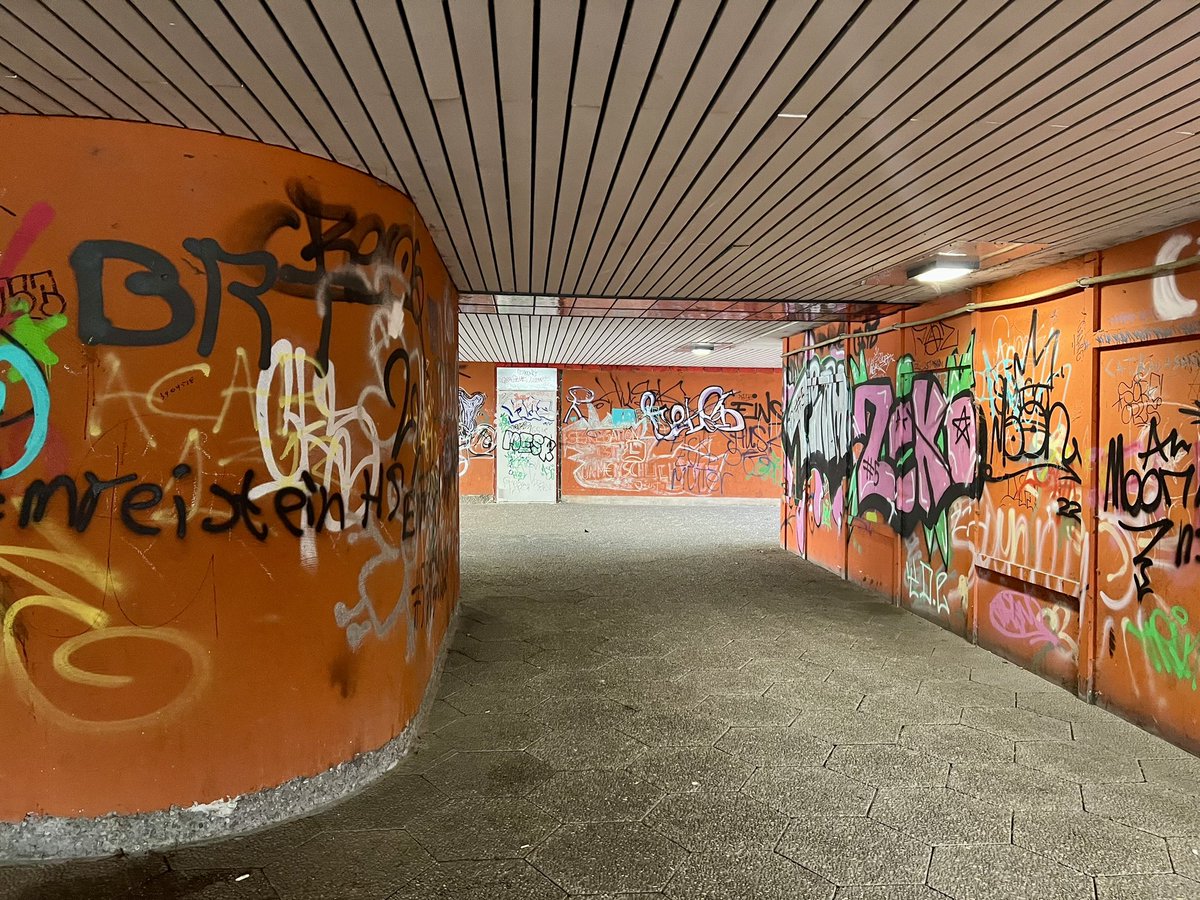 Daniel Lips tweet media