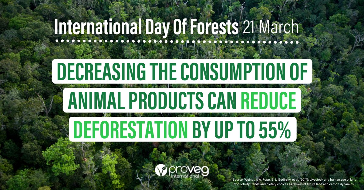 Today is the #InternationalDayOfForests!🌳🌲
Forests are key to sustaining life on our planet and slowing down #ClimateChange, yet we're losing them due to #deforestation. Learn more about how #PlantBasedDiets can help us save forests ⬇️ hubs.ly/Q02qf9tK0 #IntlForestDay